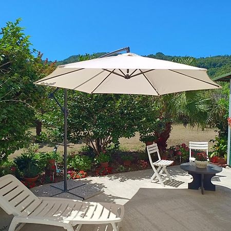 Villa Sunny House Carasco Exterior foto